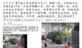 宁波爆料网络事件最新,揭秘背后真相与网络舆论风暴