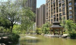 弘瑞清水湾爆料了吗最新消息,揭秘项目进展与市场动态