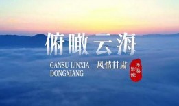 甘肃最新热点爆料事件,神秘事件引发全民热议